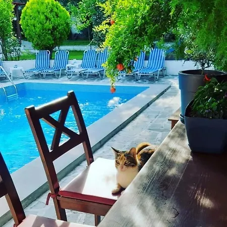 Epic * Kallithea (Chalkidiki)