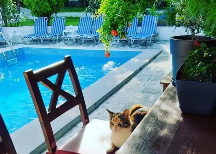 Epic * Kallithea (Chalkidiki)