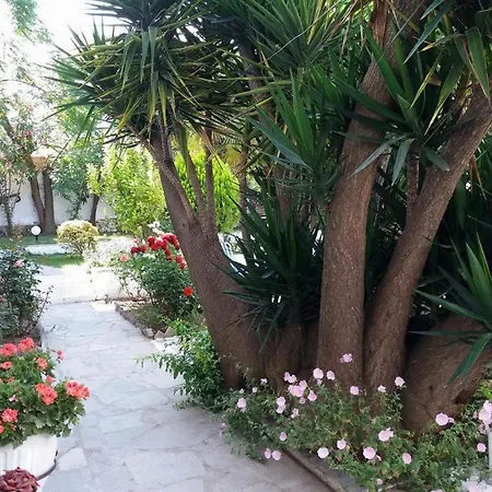 Epic * Kallithea (Chalkidiki)